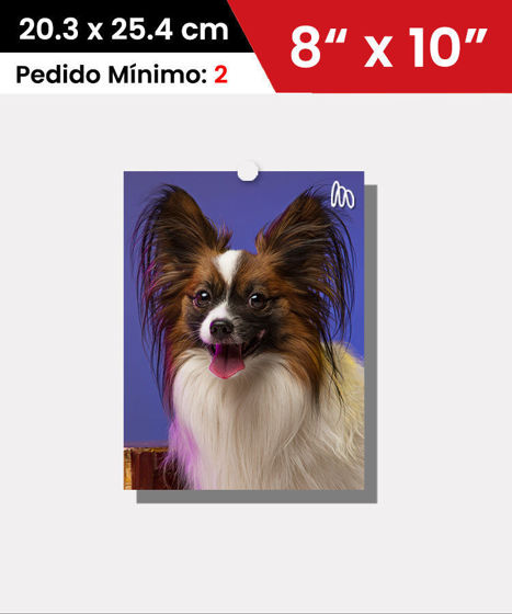 LargePic 8X10" | Fotos Grandes