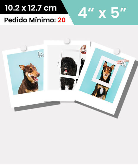 InstaPic 4x5" | Fotos Estilo Instagram
